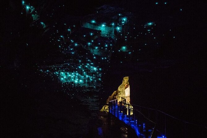 Waitomo Glow Worm Caves & Te Puia (Rotorua) Private Tour - The 6:00 am start from Auckland