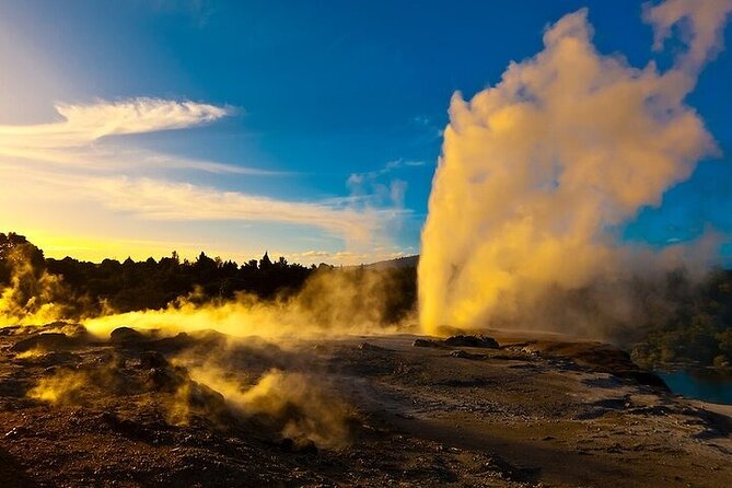 Waitomo Glow Worm Caves & Te Puia (Rotorua) Private Tour - Who should book this experience?