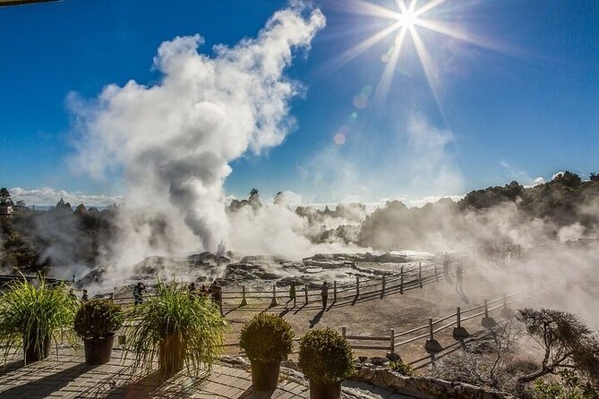 Waitomo Glow Worm Caves & Te Puia - Rotorua's Geothermal Valley - Key points to know before booking