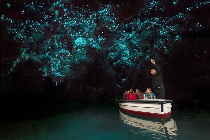 Waitomo Glow Worm Caves & Te Puia - Rotorua's Geothermal Valley - Kiwi bird watching at Te Puia