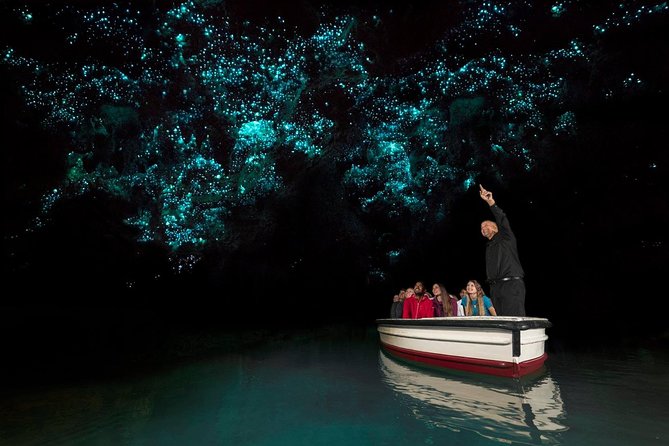 Waitomo Glowworm Caves Guided Tour - Why Waitomo’s glowworms are worth seeing