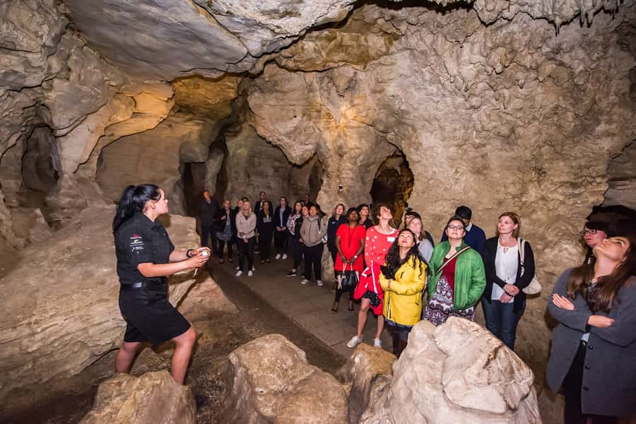 Waitomo: Glowworm Caves Guided Tour by Boat - The Cathedral Cave and its powerful acoustics