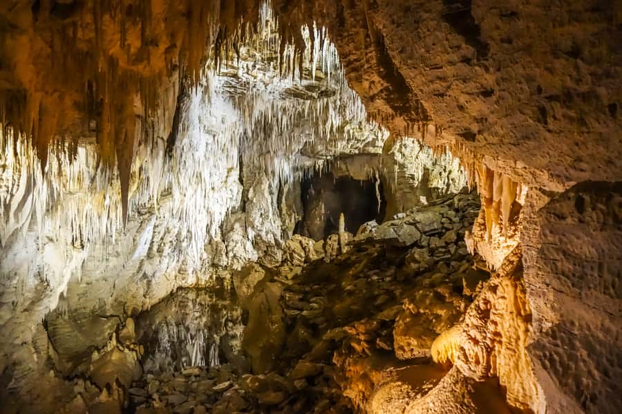 Waitomo: Glowworm Caves Guided Tour by Boat - What the guide adds to the experience