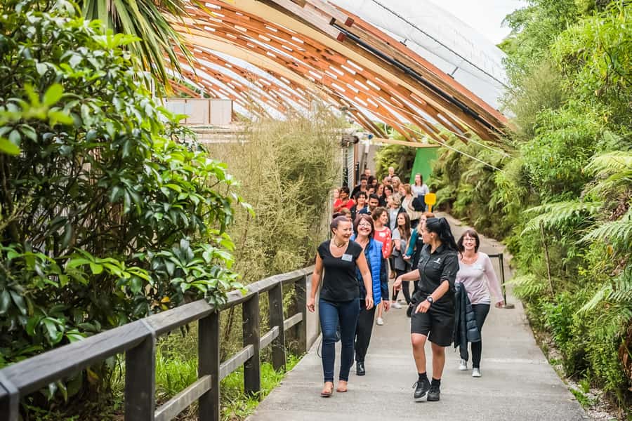 Waitomo: Glowworm Caves Guided Tour by Boat - Weather, comfort, and mobility