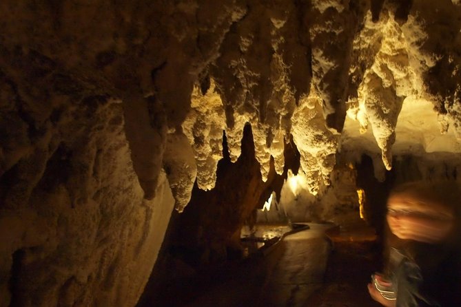 Waitomo Glowworm Caves In a Private Small Group Tour-Auckland. - Why the Waitomo Glowworm Caves are worth the long outing
