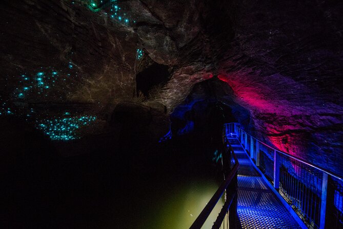 Waitomo Glowworm & Ruakuri Twin Cave Experience - Small Group Tour From Auckland - Key points to know before booking
