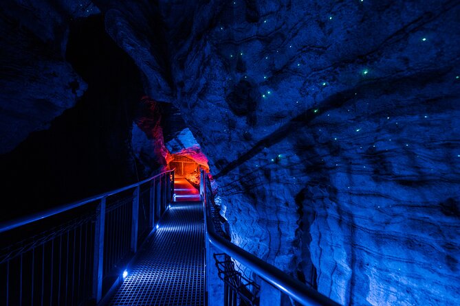 Waitomo Glowworm & Ruakuri Twin Cave Experience - Small Group Tour From Auckland - How demanding is the walking?