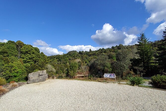 Waitomo Glowworm & Ruakuri Twin Cave Experience - Small Group Tour From Auckland - Coffee, comfort breaks, and the Waikato route