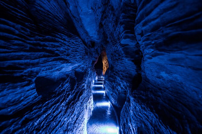 Waitomo Glowworm & Ruakuri Twin Cave - Private Tour From Auckland - What the $650.98 price includes