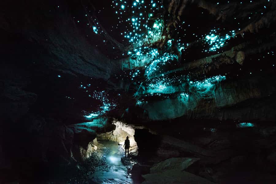 Waitomo: Guided Eco-Cave Tour - Key points to know before booking