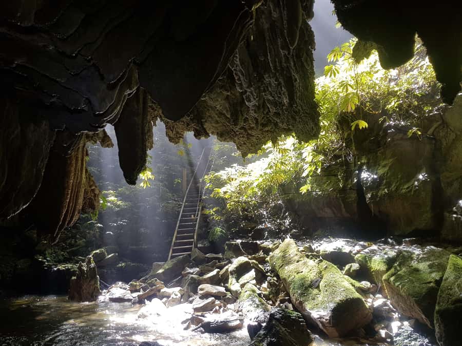 Waitomo: Guided Eco-Cave Tour - Walking through bush and the Mangapu gorge