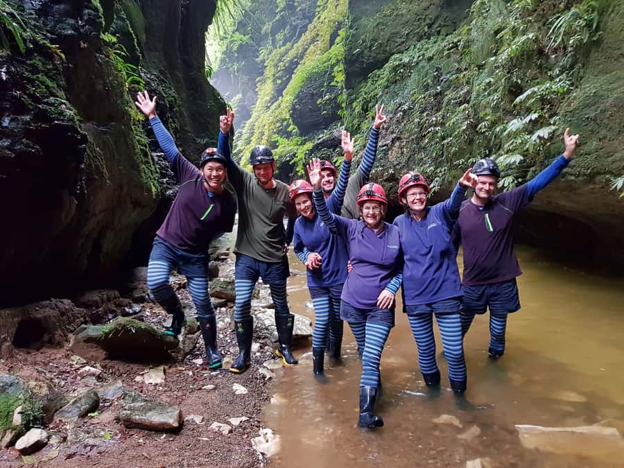 Waitomo: Guided Eco-Cave Tour - The glowworms in total darkness