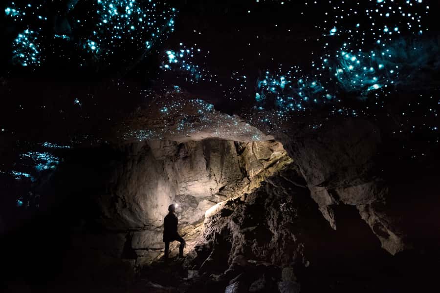 Waitomo: Guided Eco-Cave Tour - Ash, the guide, and the small-group advantage
