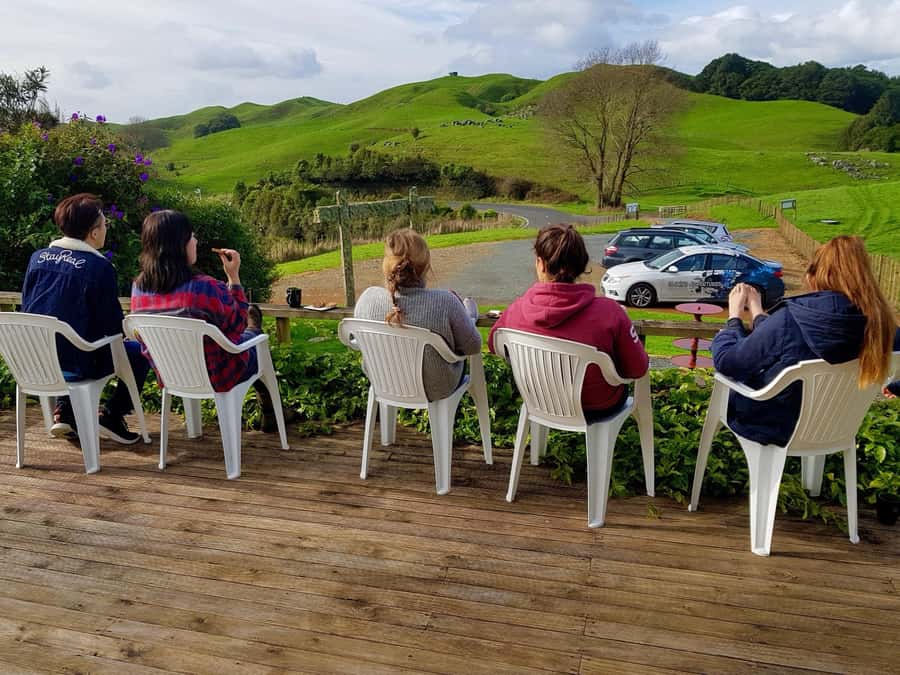 Waitomo: Guided Eco-Cave Tour - Is $130 good value?
