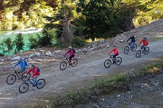 Wanaka Easy Ebike Tour - Who should choose this Wanaka experience?