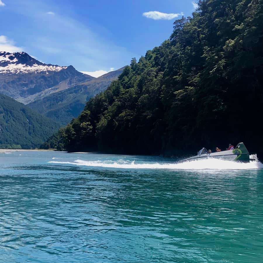 Wanaka: Jet Boat & Wilderness Walk - Weather, fitness, and who should book