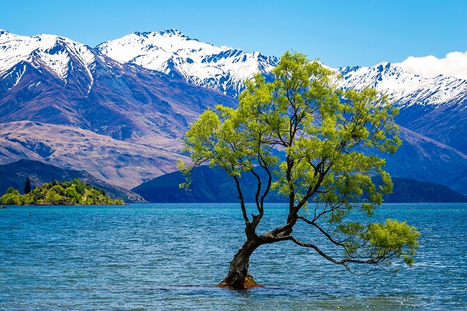 Wanaka Private Day Trip from Queenstown: TravelnGo - Key points at a glance