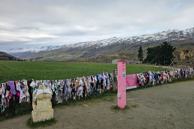 Wanaka Private Day Trip from Queenstown: TravelnGo - What you are really buying for $390.34