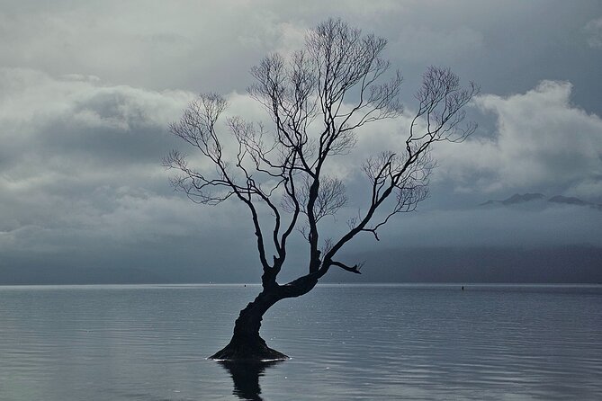Wanaka Private Day Trip from Queenstown: TravelnGo - Cardrona and the Crown Range add character