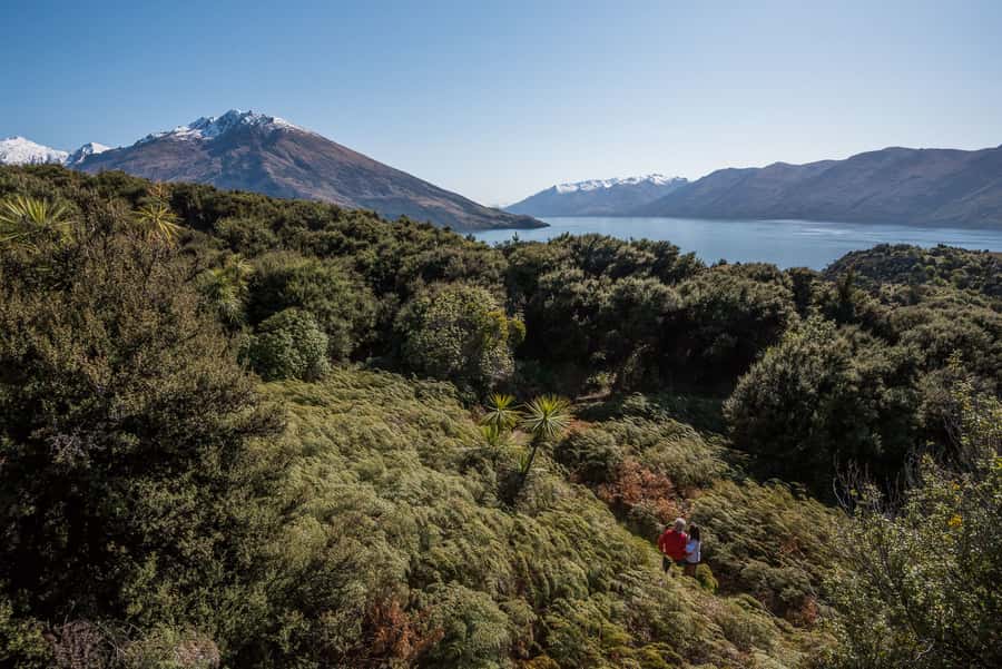 Wanaka: Water Taxi & Mou Waho Island Tour - The 20-minute climb to the hidden lake