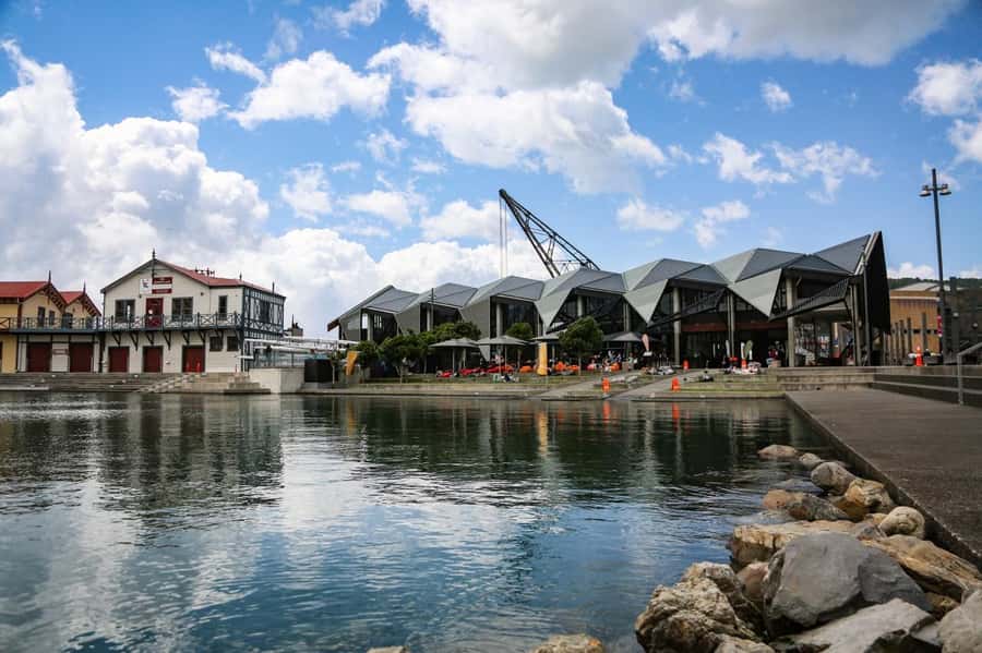 Wellington: 3 Hour Walking Food Tour - Māori flavours beside Wellington’s Waterfront