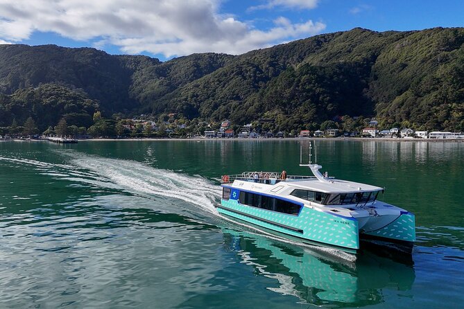 Wellington 90 minute Harbour Cruise - Key Points About the Ika Rere Cruise