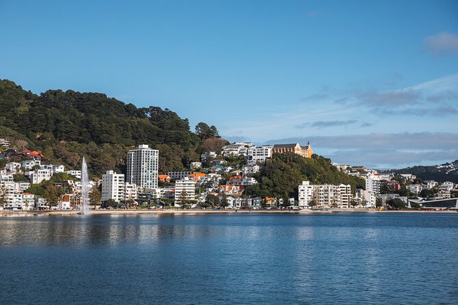 Wellington 90 minute Harbour Cruise - Starting at 5 Queens Wharf in Wellington