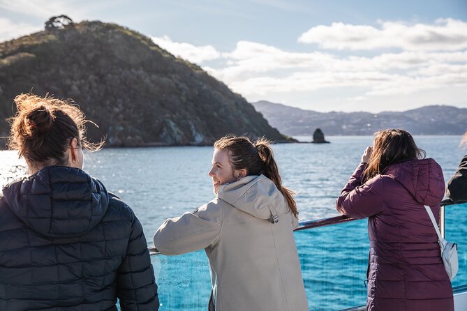 Wellington 90 minute Harbour Cruise - Choosing Between the Open Deck and Lower Cabin