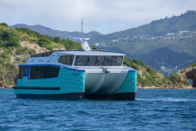 Wellington 90 minute Harbour Cruise - A Route That Adapts to the Day