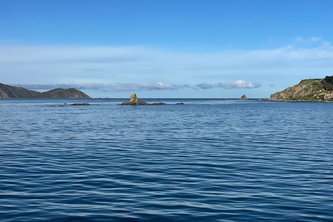 Wellington 90 minute Harbour Cruise - Commentary That Complements Wellington on Foot