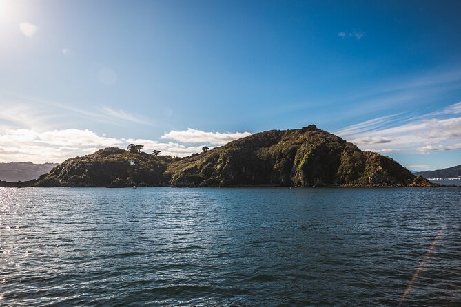 Wellington 90 minute Harbour Cruise - Who Will Enjoy This Harbour Cruise Most