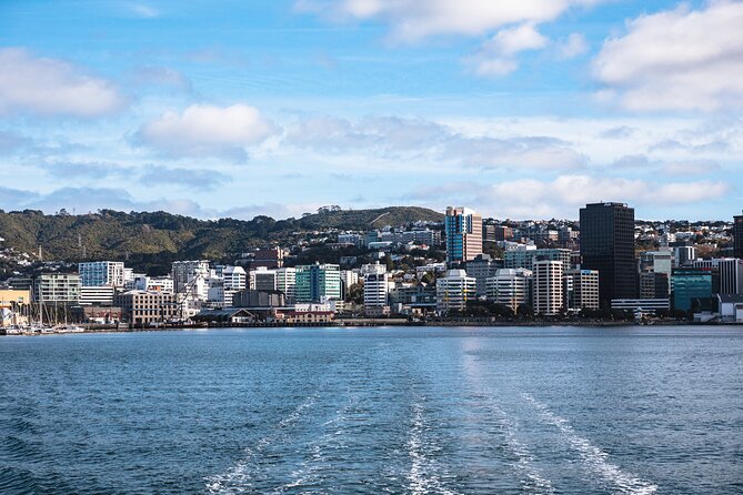 Wellington 90 minute Harbour Cruise - Timing, Weather, and Cancellation Advice