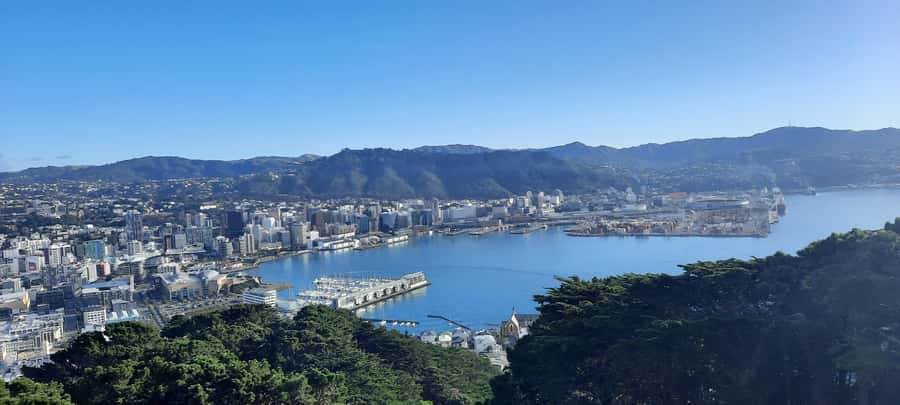 Wellington: Cave to Coast Highlights Guided Tour - Weta Cave offers a taste of Wellington’s film craft