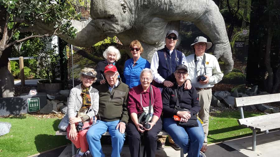 Wellington: Cave to Coast Highlights Guided Tour - Returning to the city: choose your final highlights