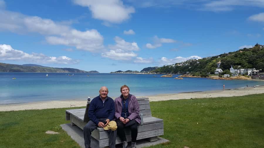 Wellington: Cave to Coast Highlights Guided Tour - Is $124 a fair price?