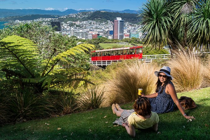 Wellington Cave to Coast Highlights Tour (5 Hours with Lunch) - Why this half-day tour works well in Wellington