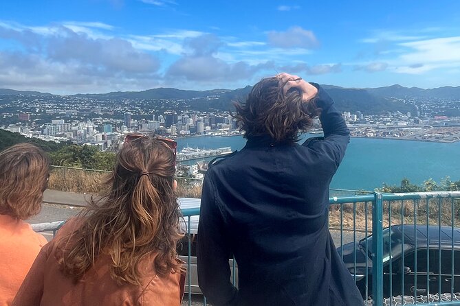 Wellington City and Sea: Private Tour in Electric Tesla SUV - Old St. Paul’s, wood, glass, and quiet detail