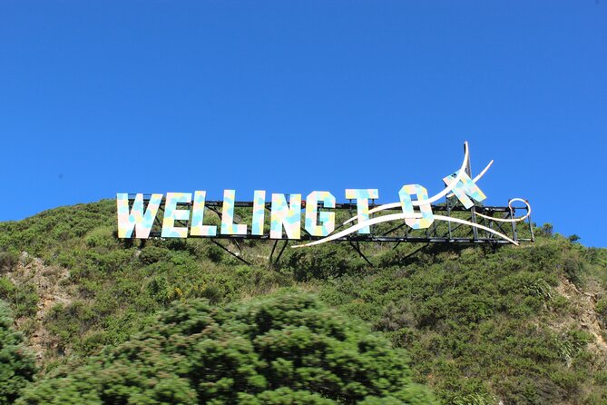 Wellington City and Sea: Private Tour in Electric Tesla SUV - Parliament, the Beehive, and Wellington’s civic center