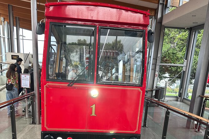 Wellington city heights shared sightseeing tour - Mount Victoria gives you the classic city view