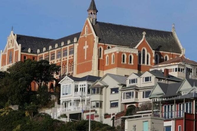 Wellington city heights sightseeing Private 5 hour tour - A meat pie and local beer add Wellington flavor