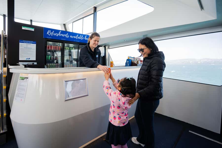 Wellington: Commentated Harbour Explorer tour - The value of the $41 ticket