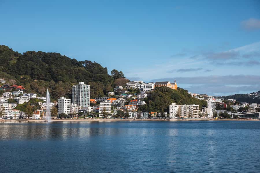 Wellington: Commentated Harbour Explorer tour - Who will enjoy this cruise most