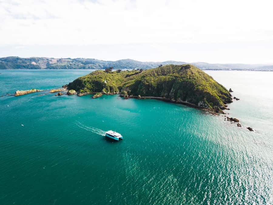 Wellington: Commentated Harbour Explorer tour - A 90-minute route shaped by Wellington Harbour