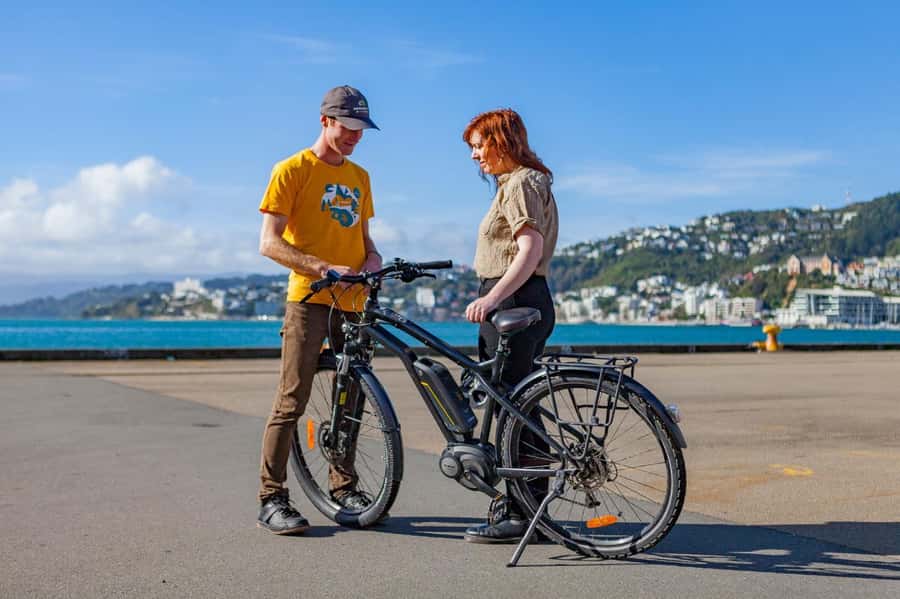 Wellington: Easy Rider Guided eBike Tour - Stories about Māori culture, film, and Wellington figures