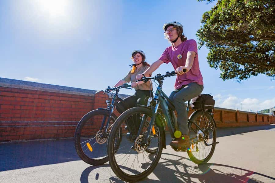 Wellington: Easy Rider Guided eBike Tour - Who should book this eBike ride?