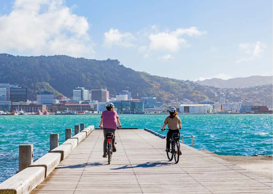 Wellington Electric Bike Rental - Following the Coast Toward Miramar and Lyall Bay