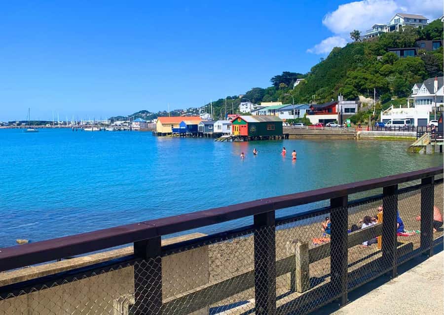 Wellington Electric Bike Rental - Adding Weta Workshop and Zealandia to Your Plan