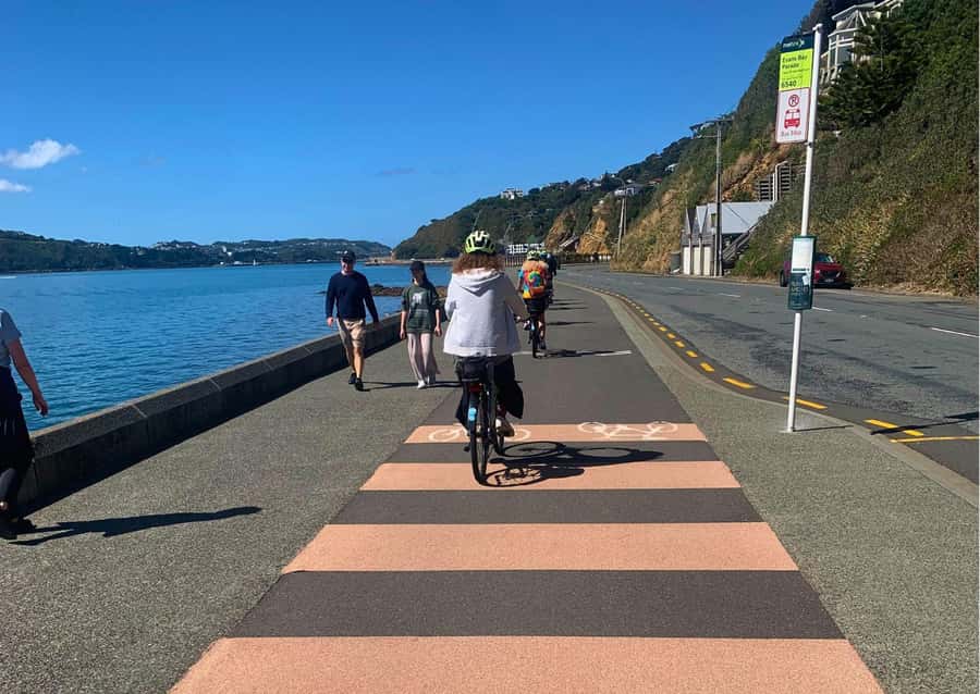 Wellington Electric Bike Rental - Pencarrow Lighthouse by Ferry and Coastal Road