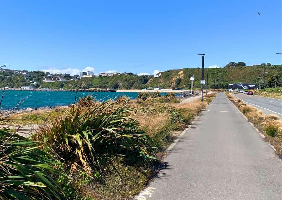 Wellington: Electric Bike Rental - Who will enjoy this rental most?
