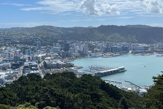 Wellington Full Day Private Tour in Electric Tesla SUV - Key points at a glance